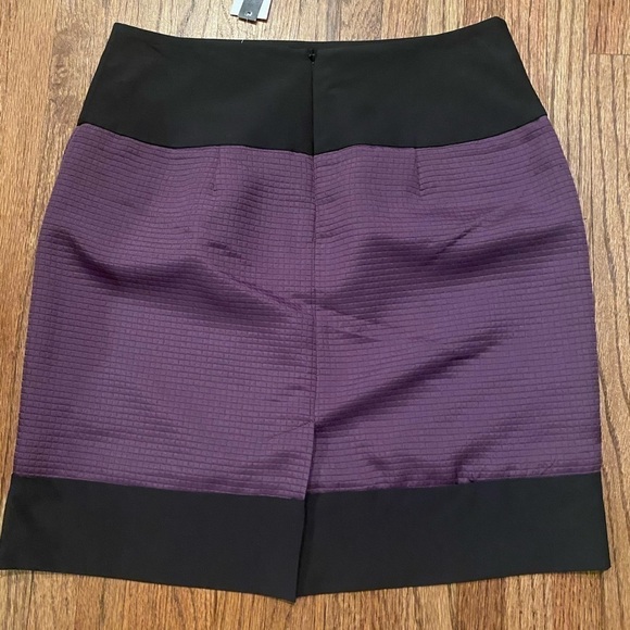 Chelsea & Theodore Size 2 Skirt NWT - Picture 2 of 6